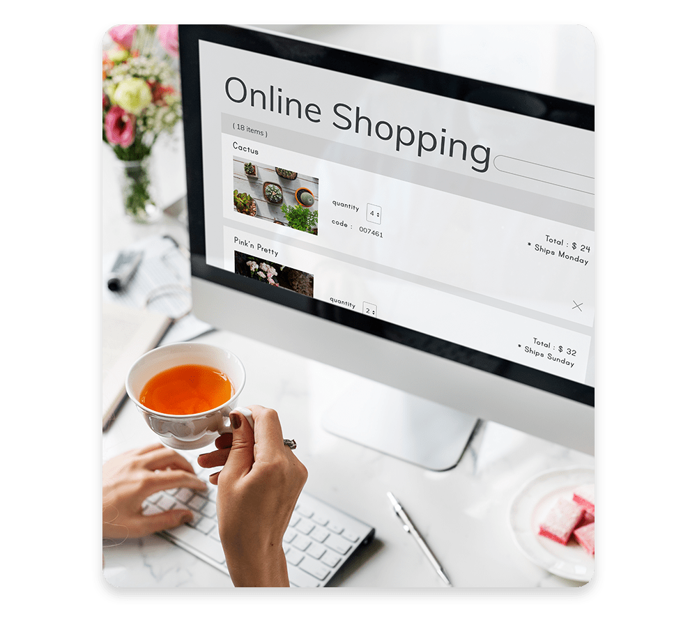 Shopify E-commerce Website Development Course