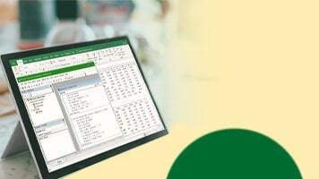 WSQ Data Automation Using Excel VBA Programming Course